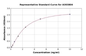 Representative standard curve for Rat ASS1 ELISA kit (A303804)
