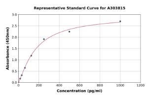 Representative standard curve for Rat CD63 ELISA kit (A303815)