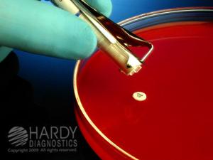 HardyDisks™ AST Gentamicin, GM-10, Hardy Diagnostics