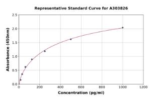 Representative standard curve for Rat Keap1 ELISA kit (A303826)