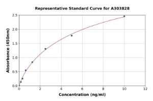 Representative standard curve for Rat Mitofusin 1 ELISA kit (A303828)
