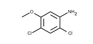 2,4-Dichloro-5-methoxyaniline ≥95%