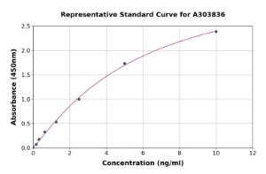 Representative standard curve for Rat XIAP ELISA kit (A303836)