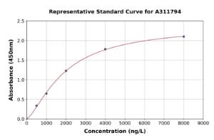 Representative standard curve for Human CD33 ELISA kit (A311794)