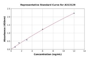 Representative standard curve for human NGF ELISA kit (A313129)