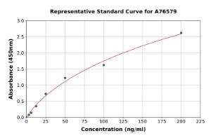 Representative standard curve for Mouse Factor XII ELISA kit (A76579)