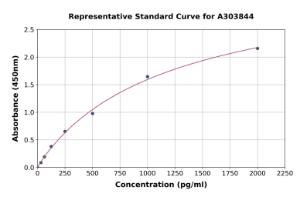 Representative standard curve for Rabbit Decorin ELISA kit (A303844)