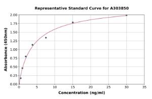 Representative standard curve for Rabbit Lactate Dehydrogenase B/LDH-B ELISA kit (A303850)