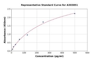 Representative standard curve for Rabbit N-MID-Osteocalcin ELISA kit (A303851)