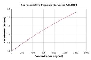 Representative standard curve for Mouse RIP ELISA kit (A311808)