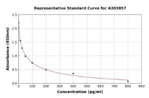 Representative standard curve for Rabbit Estradiol ELISA kit (A303857)