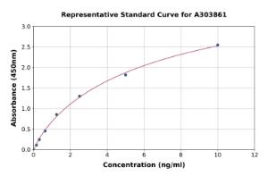 Representative standard curve for Sheep Myelin Basic Protein ELISA kit (A303861)