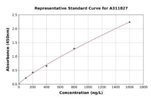 Representative standard curve for Mouse hHR23b ELISA kit (A311827)