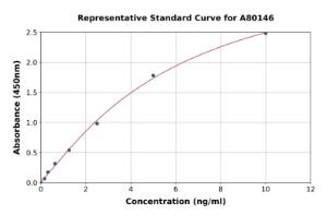 Representative standard curve for Rat RBP1 ELISA kit (A80146)