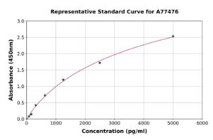 Representative standard curve for Human PGP9.5 ELISA kit (A77476)