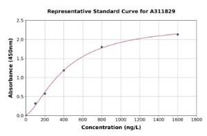 Representative standard curve for Human KIF20A ELISA kit (A311829)