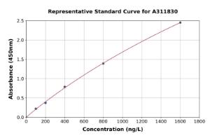 Representative standard curve for Human KMT3C / SMYD2 ELISA kit (A311830)