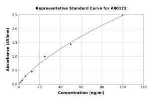 Representative standard curve for Rat Syndecan-1 ELISA kit (A80172)