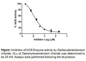 Nitric Oxide Synthase (NOS) Inhibitor Screening Kit (Fluorometric), BioVision