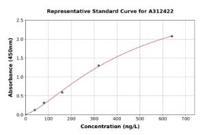 Representative standard curve for Human PLOD2/LH2 ELISA kit (A312422)