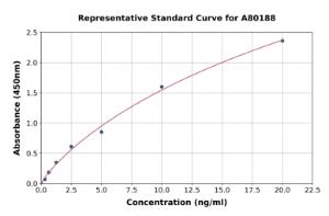 Representative standard curve for Rat TLR4 ELISA kit (A80188)