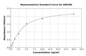 Representative standard curve for Rat TLR7 ELISA kit (A80189)