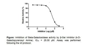 Beta Galactosidase (β-Gal) Inhibitor Screening Kit (Fluorometric), BioVision Inc.