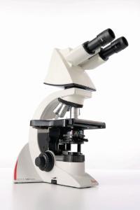 DM1000 LED upright microscope