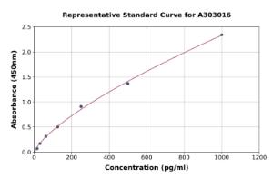 Representative standard curve for Human GNG3 ELISA kit (A303016)