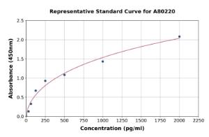 Representative standard curve for Rat REST/NRSF ELISA kit (A80220)