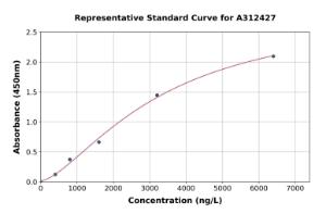 Representative standard curve for Human Hsp20 ELISA kit (A312427)