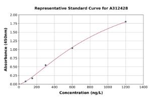 Representative standard curve for Mouse Mgp ELISA kit (A312428)