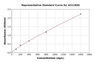 Representative standard curve for Human HTF9C / TRMT2A ELISA kit (A311836)