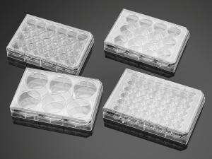 BioCoat™ 6-well plates Matrigel® Matrix
