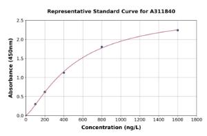 Representative standard curve for Human GPCR GPR55 ELISA kit (A311840)