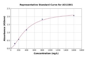 Representative standard curve for Mouse HuR / ELAVL1 ELISA kit (A311841)