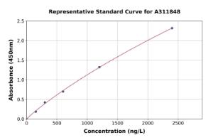 Representative standard curve for Mouse ERK2 ELISA kit (A311848)