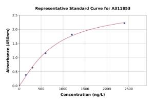 Representative standard curve for Human SLC25A37 ELISA kit (A311853)