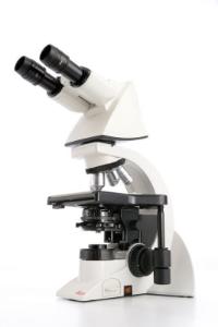 DM1000 LED microscope