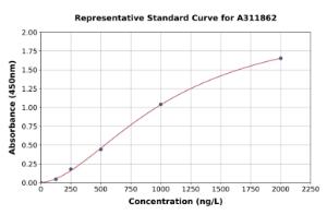 Representative standard curve for Human Cdc25B ELISA kit (A311862)