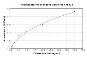 Representative standard curve for Human MT1E ELISA kit (A78472)