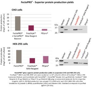 FectoPRO Protein production CHO-HEK cells