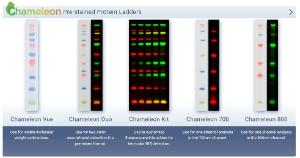 Chameleon™ Duo Pre-stained Protein Ladder, LI-COR®