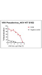 Neutralizing antibody test using pseudovirus