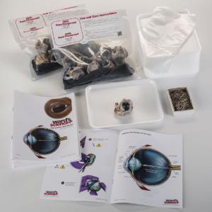 Ward's® Pure Preserved™ Cow Eye Dissection Kit