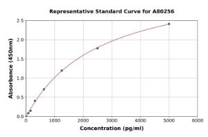 Representative standard curve for Rat CD147 ELISA kit (A80256)