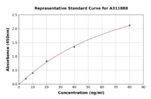 Representative standard curve for Human Olig1 ELISA kit (A311888)