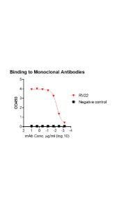 Functional binding test using antibodies