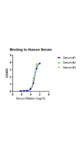 Functional binding test using sera