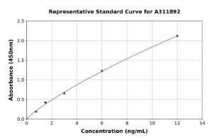 Representative standard curve for Mouse CD75 ELISA kit (A311892)